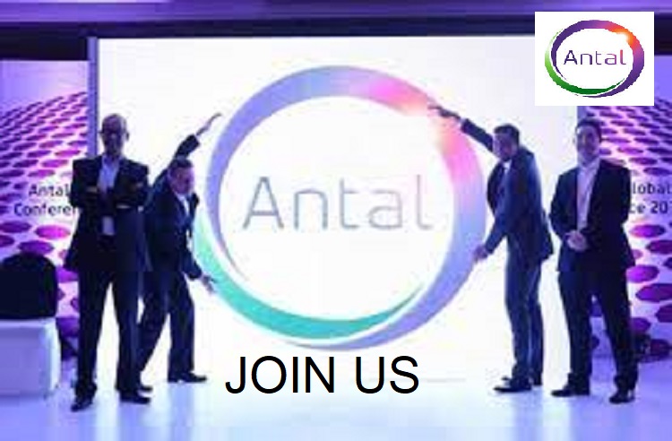 Antal International announces vacancies in the UAE