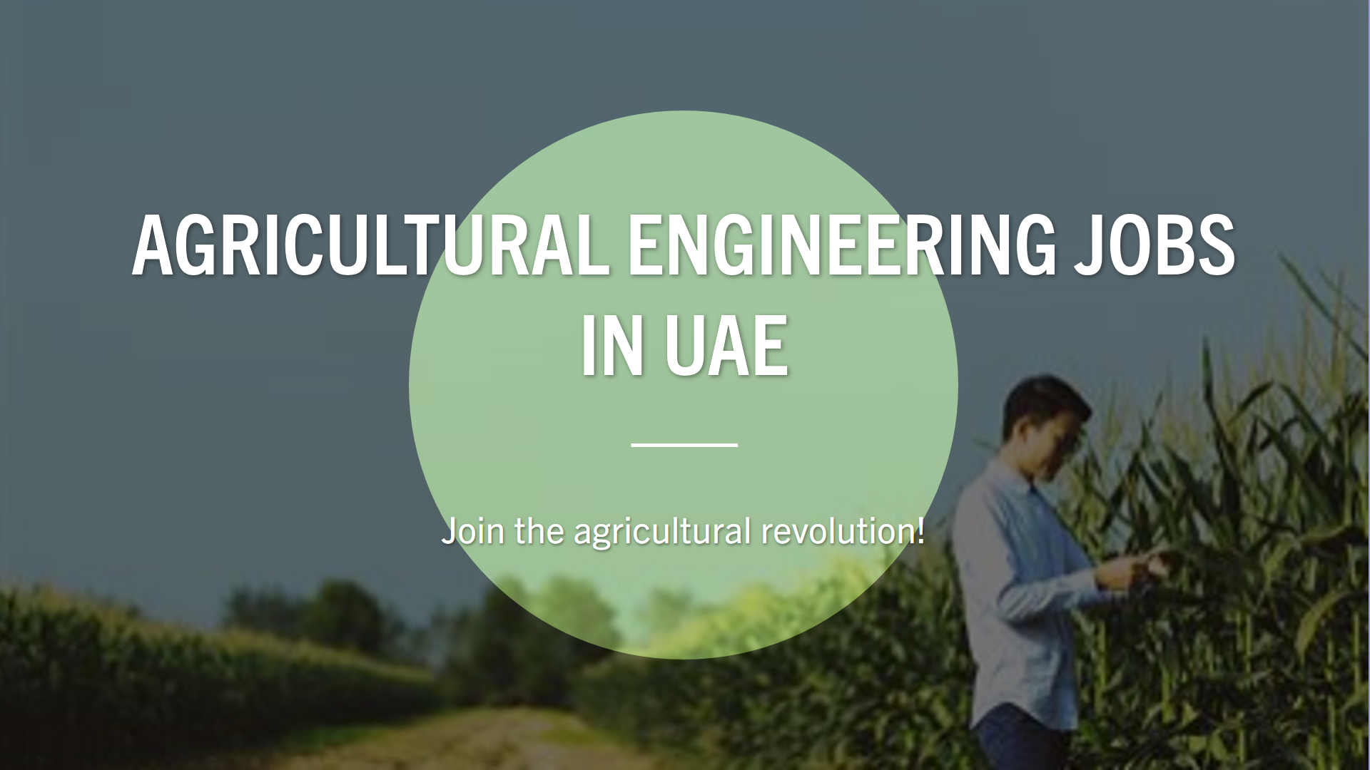 Agricultural Engineer UAE jobs