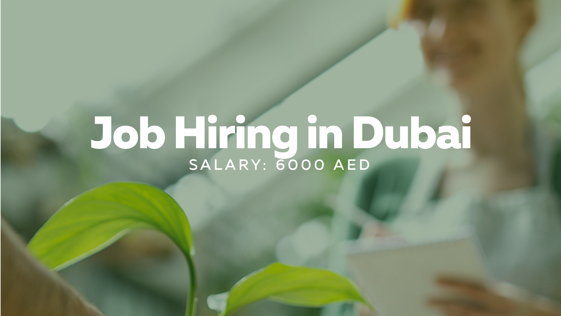 Job hiring Dubai with salary 6000 AED