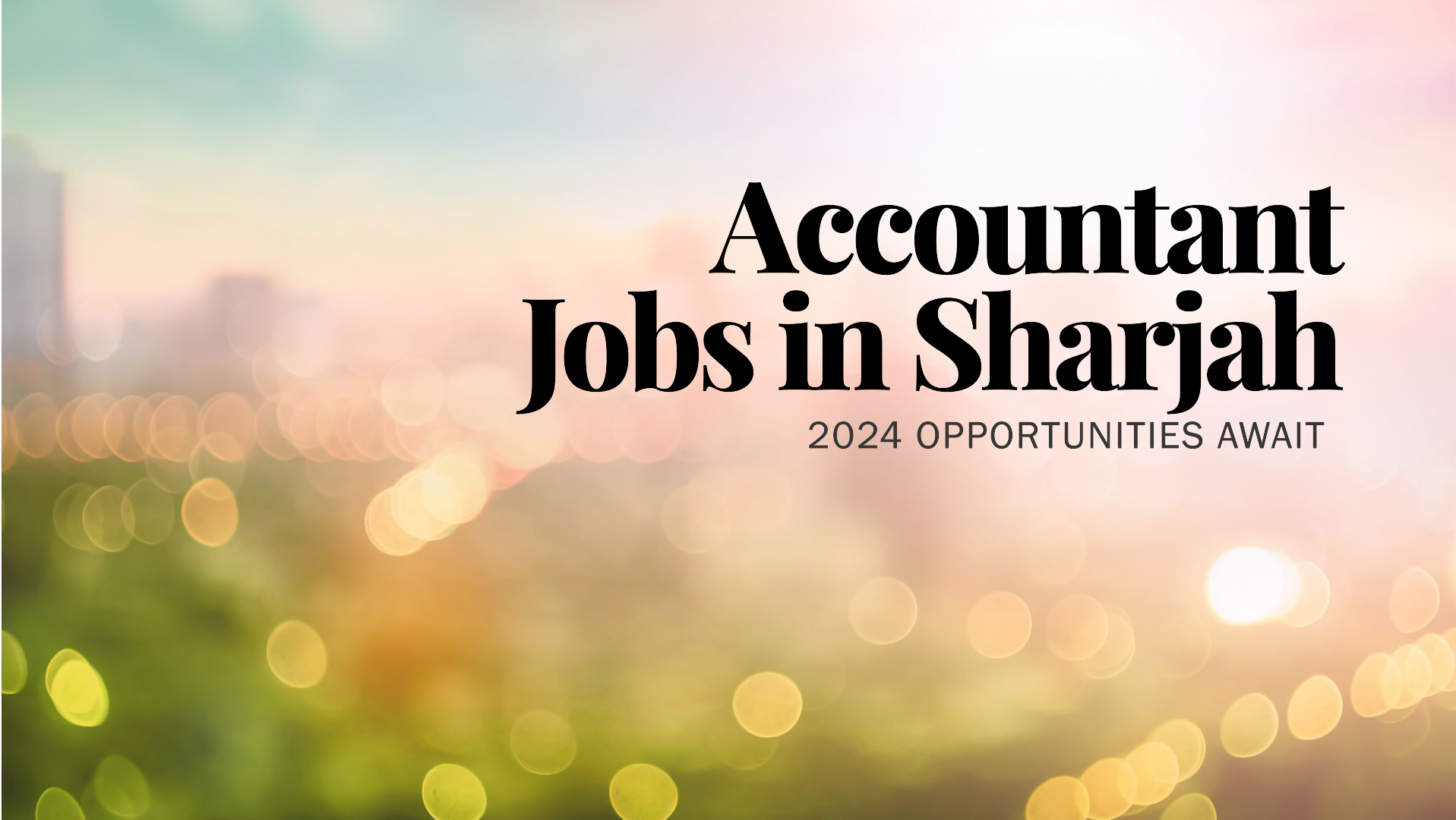 Accountant jobs in Sharjah 2024