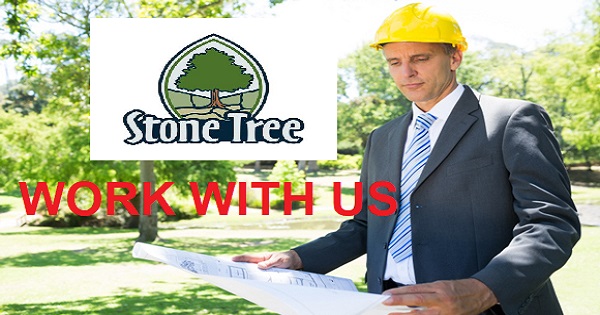 Stone Tree Group exclusive job opportunities UAE 2023