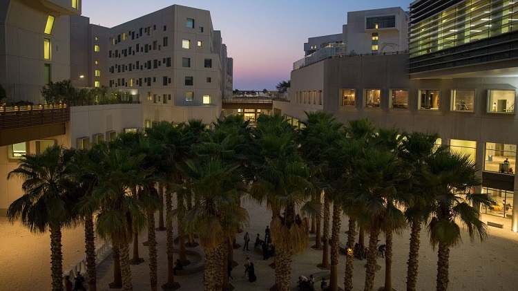 Without experience, New York University Abu Dhabi provides jobs for residents and expatriates