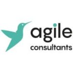 Agile consultants